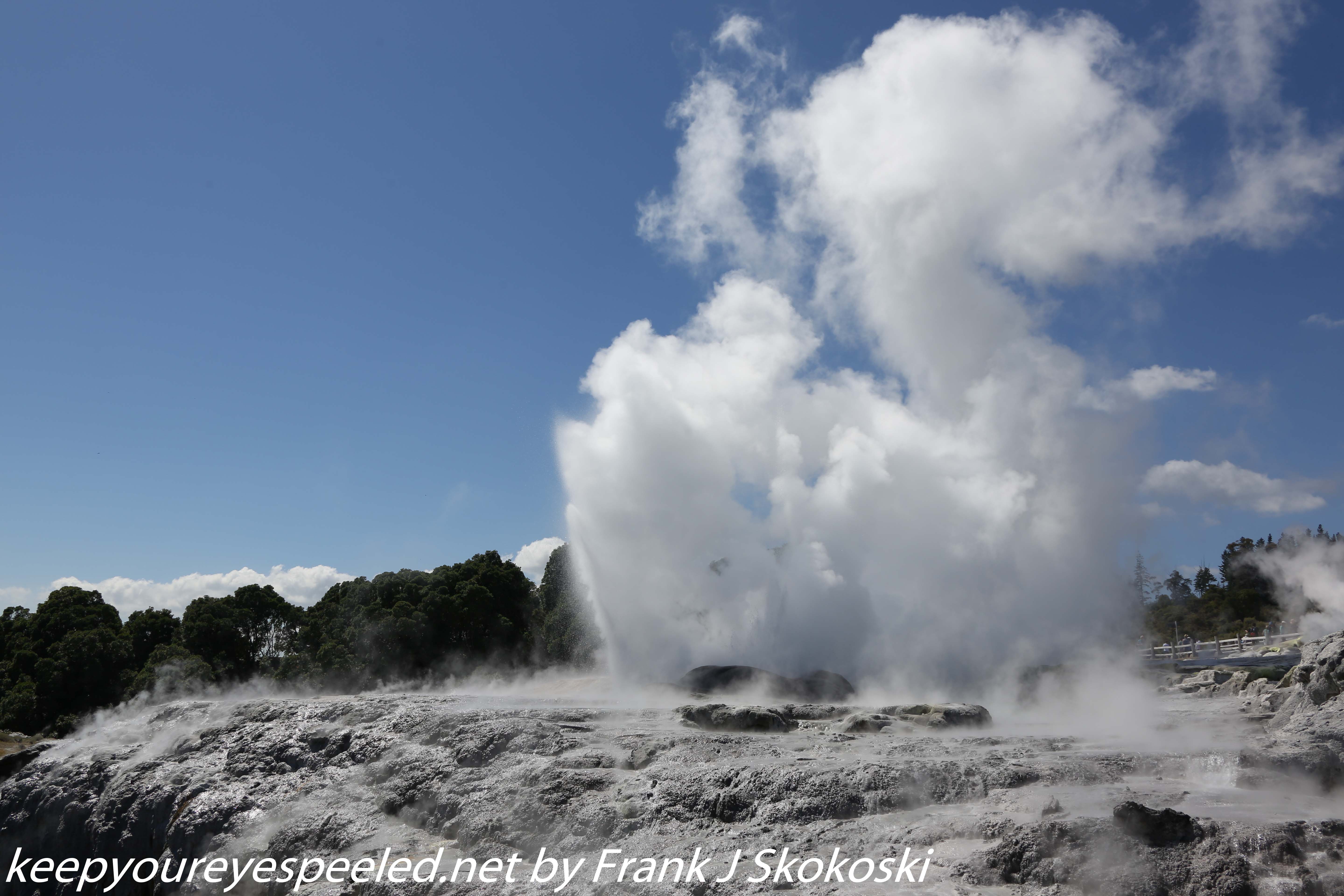 New-Zealand-Day-Fourteen-Rotorua-geysers-and-walk-9-of-11