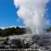 New-Zealand-Day-Fourteen-Rotorua-geysers-and-walk-1-of-11