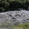 New-Zealand-Day-Fourteen-Rotorua-geysers-and-walk-10-of-11
