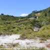New-Zealand-Day-Fourteen-Rotorua-geysers-and-walk-16-of-31