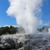 New-Zealand-Day-Fourteen-Rotorua-geysers-and-walk-2-of-11