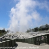 New-Zealand-Day-Fourteen-Rotorua-geysers-and-walk-21-of-31