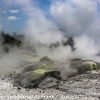 New-Zealand-Day-Fourteen-Rotorua-geysers-and-walk-22-of-31