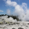 New-Zealand-Day-Fourteen-Rotorua-geysers-and-walk-23-of-31