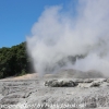 New-Zealand-Day-Fourteen-Rotorua-geysers-and-walk-28-of-31