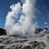 New-Zealand-Day-Fourteen-Rotorua-geysers-and-walk-6-of-11