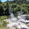 New-Zealand-Day-Fourteen-Rotorua-geysers-and-walk-8-of-31