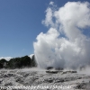 New-Zealand-Day-Fourteen-Rotorua-geysers-and-walk-9-of-11