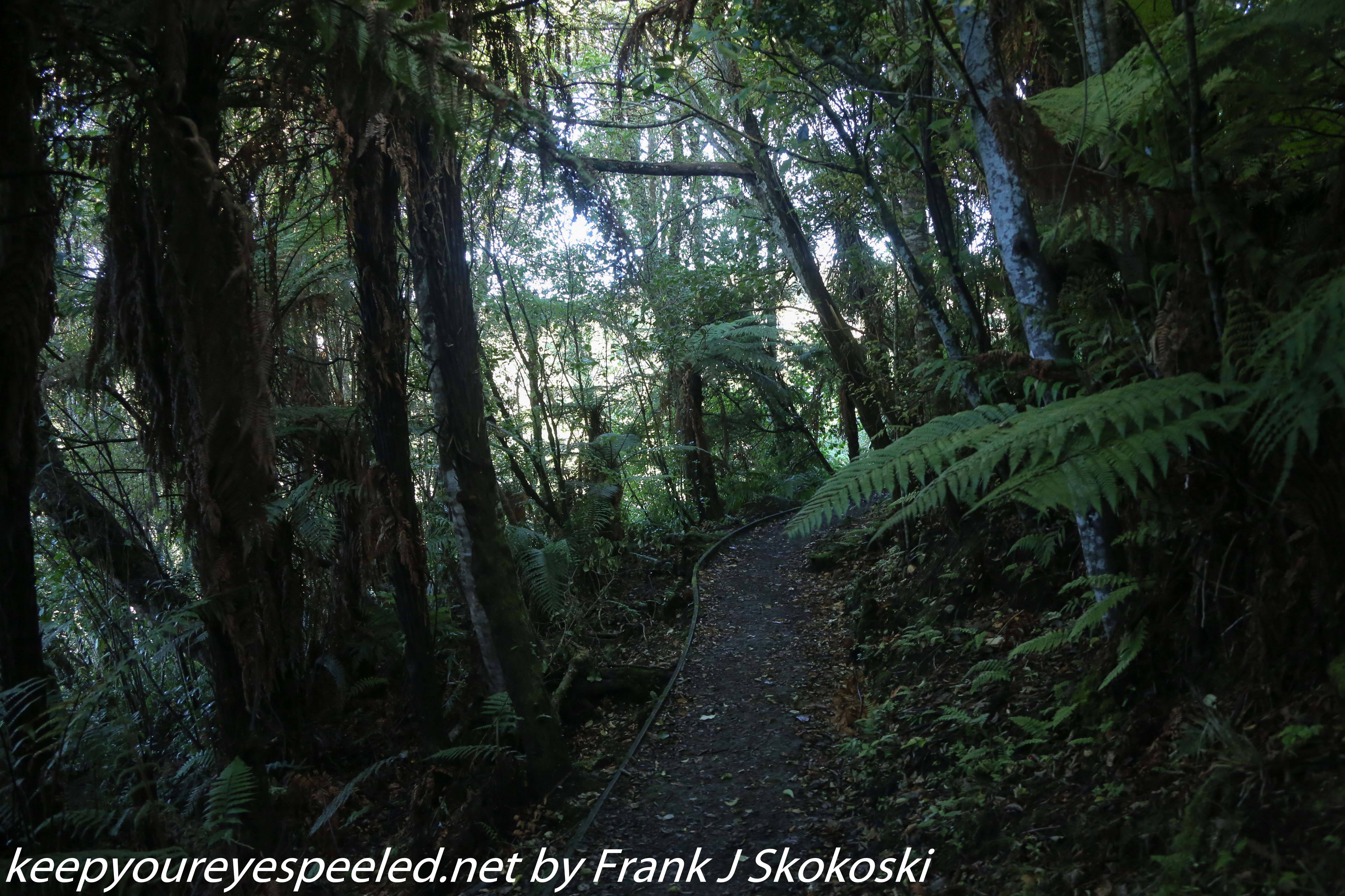 New-Zealand-Day-Nine-Stewart-Island-evening-hike-5-of-22