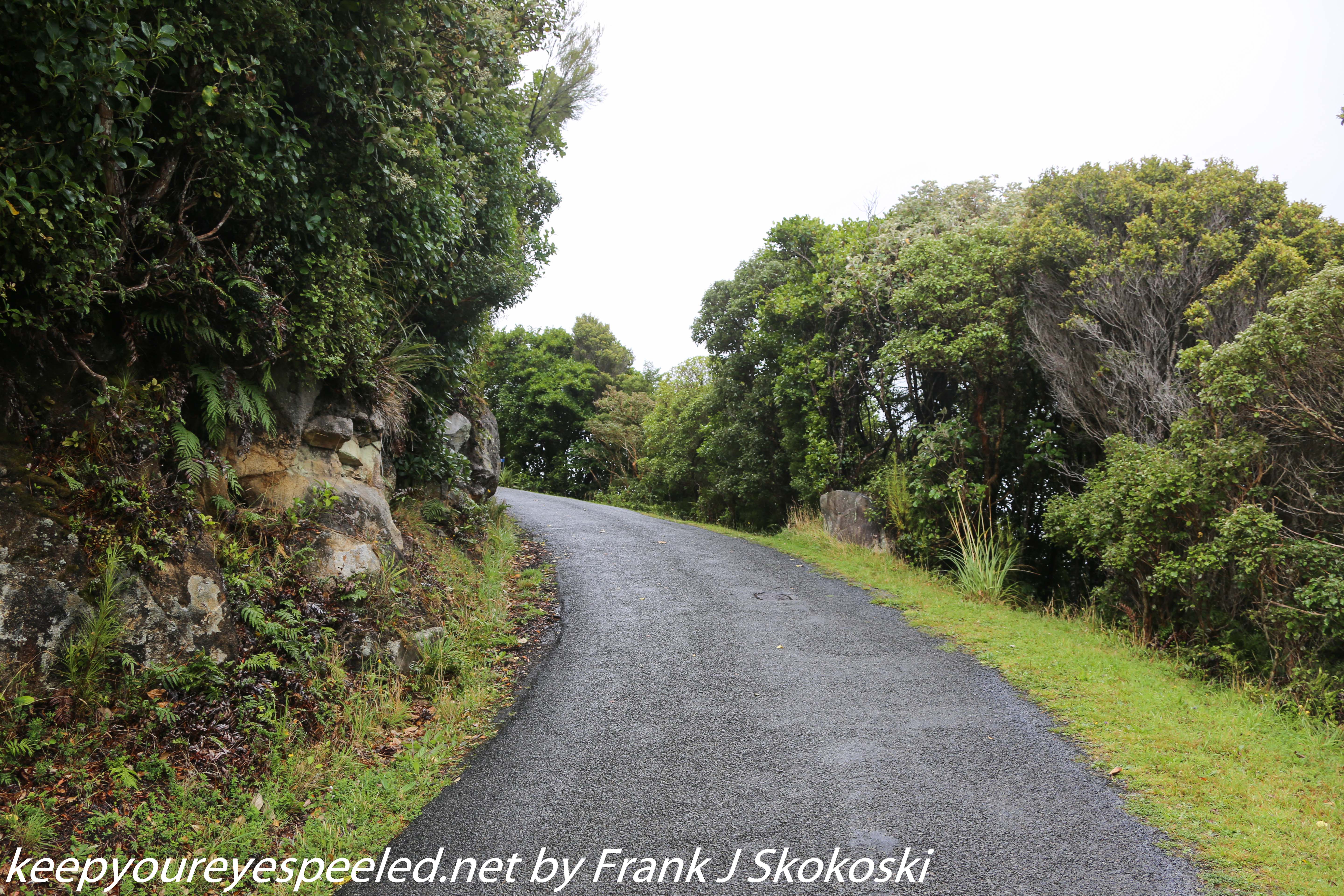 New-Zealand-Day-Nine-Stewart-Island-afternoon-hike-16-of-48