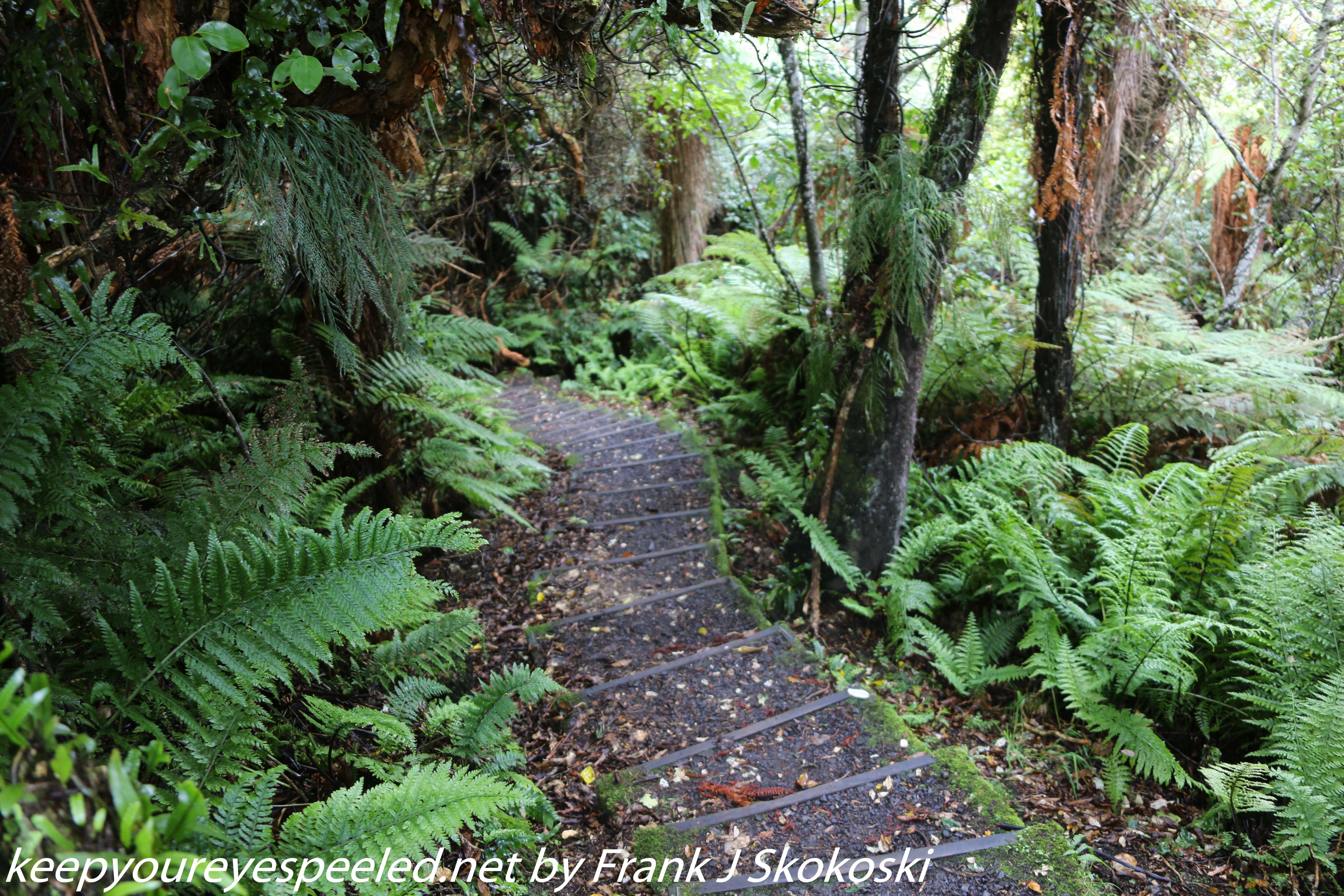 New-Zealand-Day-Nine-Stewart-Island-afternoon-hike-19-of-48