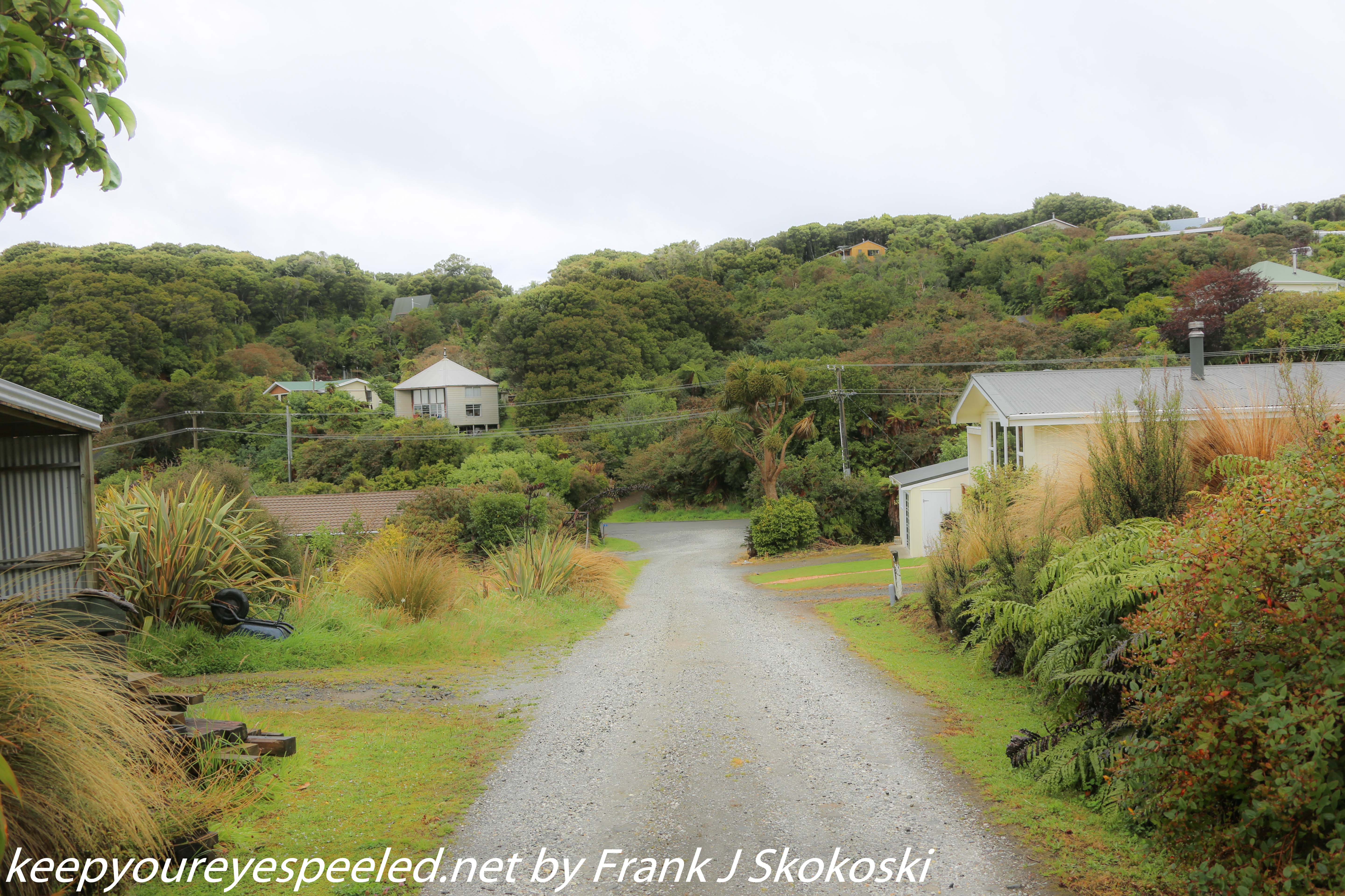 New-Zealand-Day-Nine-Stewart-Island-afternoon-hike-2-of-48