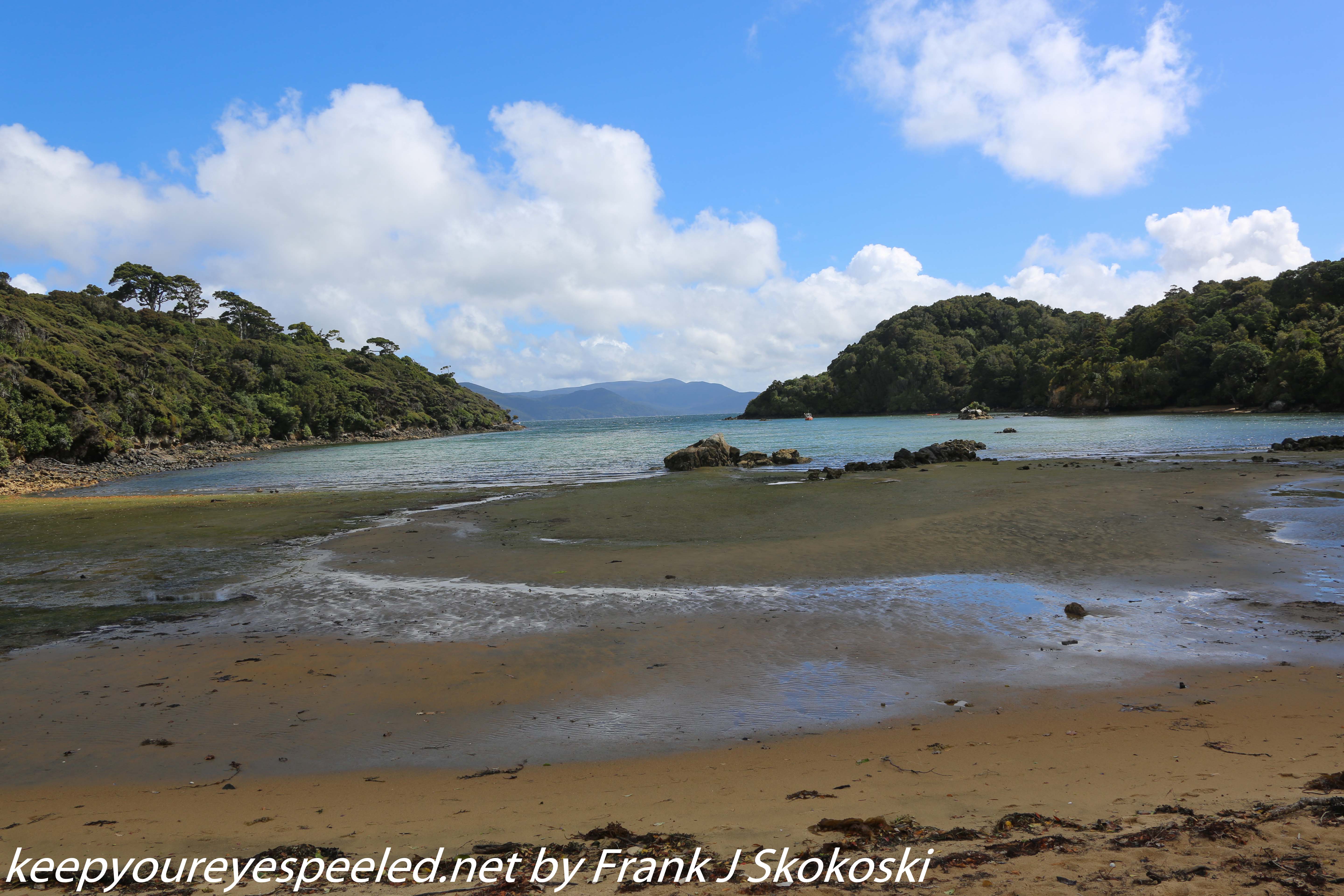 New-Zealand-Day-Nine-Stewart-Island-afternoon-hike-43-of-48