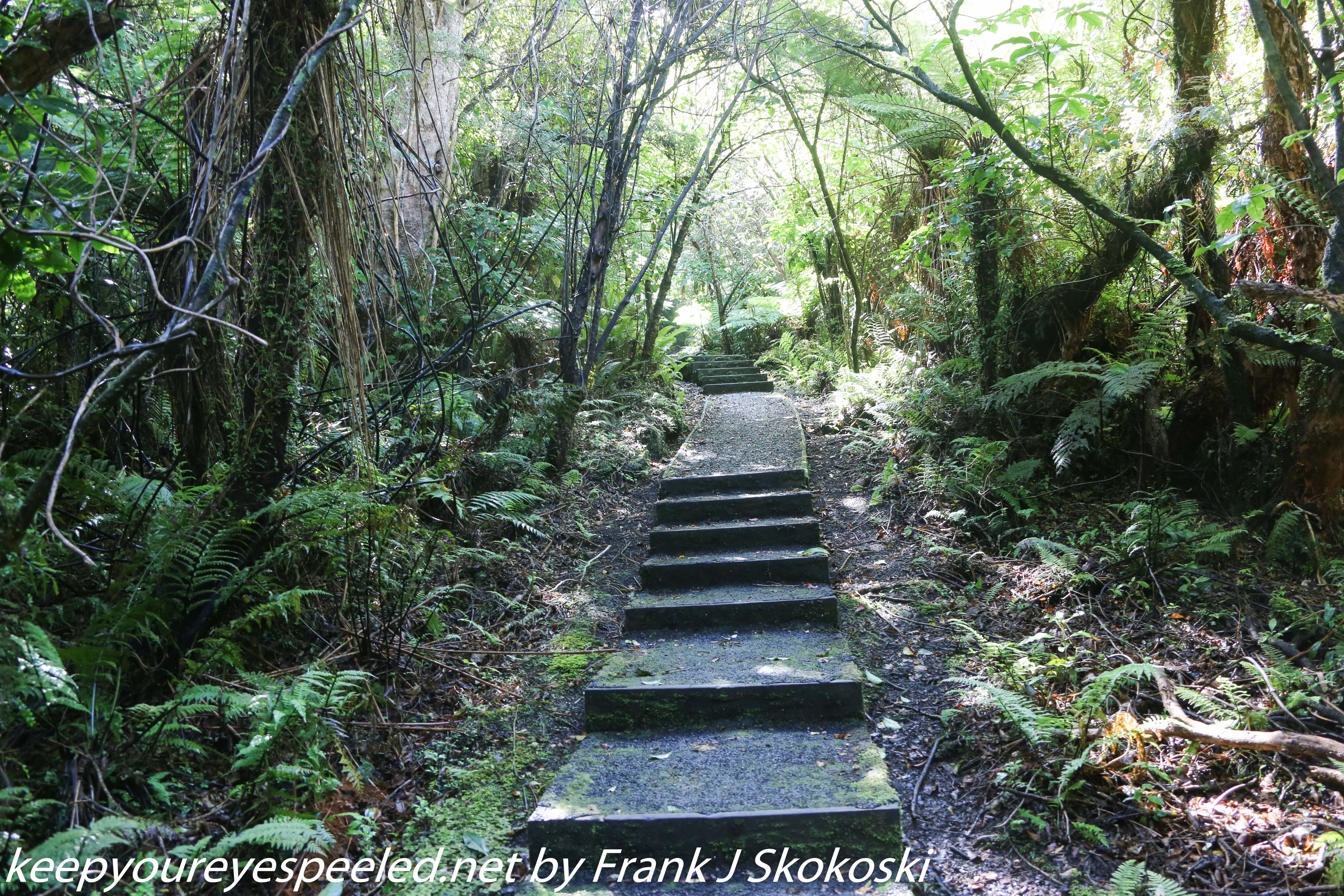 New-Zealand-Day-Nine-Stewart-Island-afternoon-hike-46-of-48