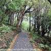 New-Zealand-Day-Nine-Stewart-Island-afternoon-hike-28-of-48