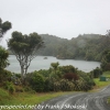 New-Zealand-Day-Nine-Stewart-Island-morning-drive-39-of-50
