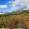 New-Zealand-Day-Seven-Glenorchy-walkway-15-of-34