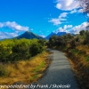New-Zealand-Day-Seven-Glenorchy-walkway-18-of-34
