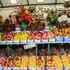 New-Zealand-Day-Six-Mount-Cook-to-Queenstown-fruit-stand-1-of-21