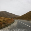 New-Zealand-Day-Six-Mount-Cook-to-Queenstown-frd-30-of-47