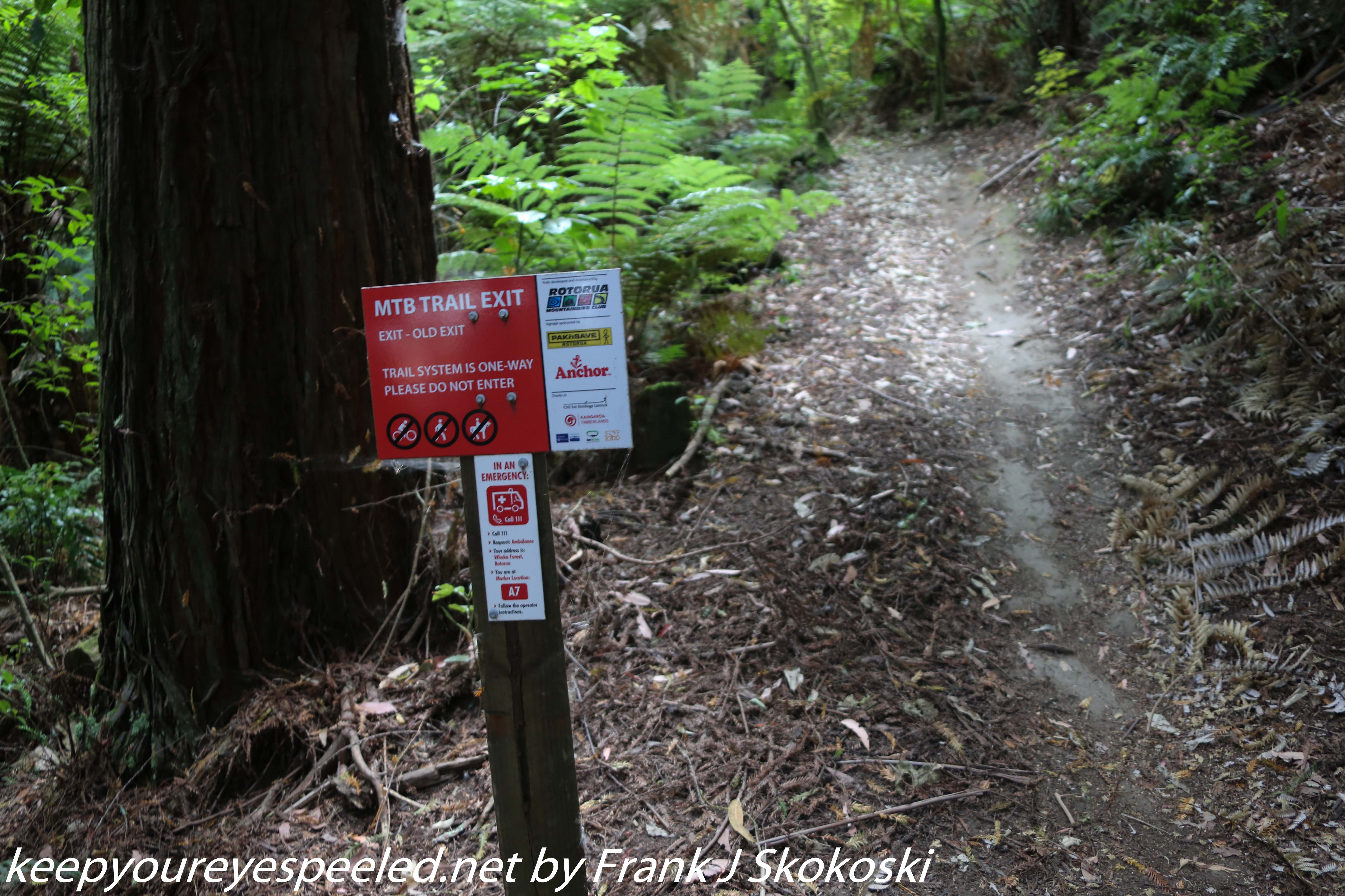 New-zealand-Day-Sixteen-Rotorua-morning-hike-20-of-48