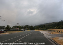New-zealand-Day-Sixteen-Rotorua-morning-hike-1-of-48