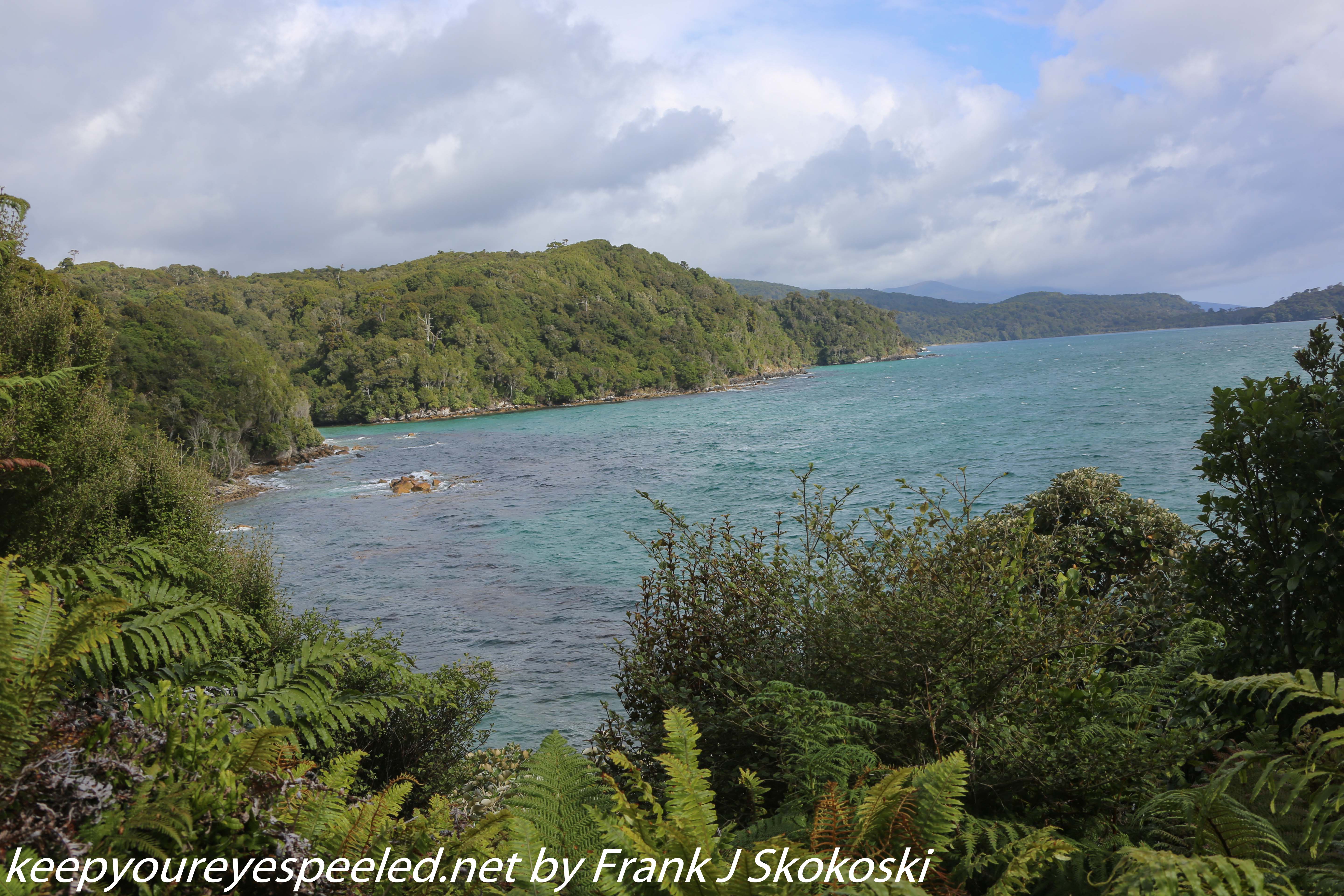 New-Zealand-Day-Ten-Stewart-Island-Rakiura-38-of-48