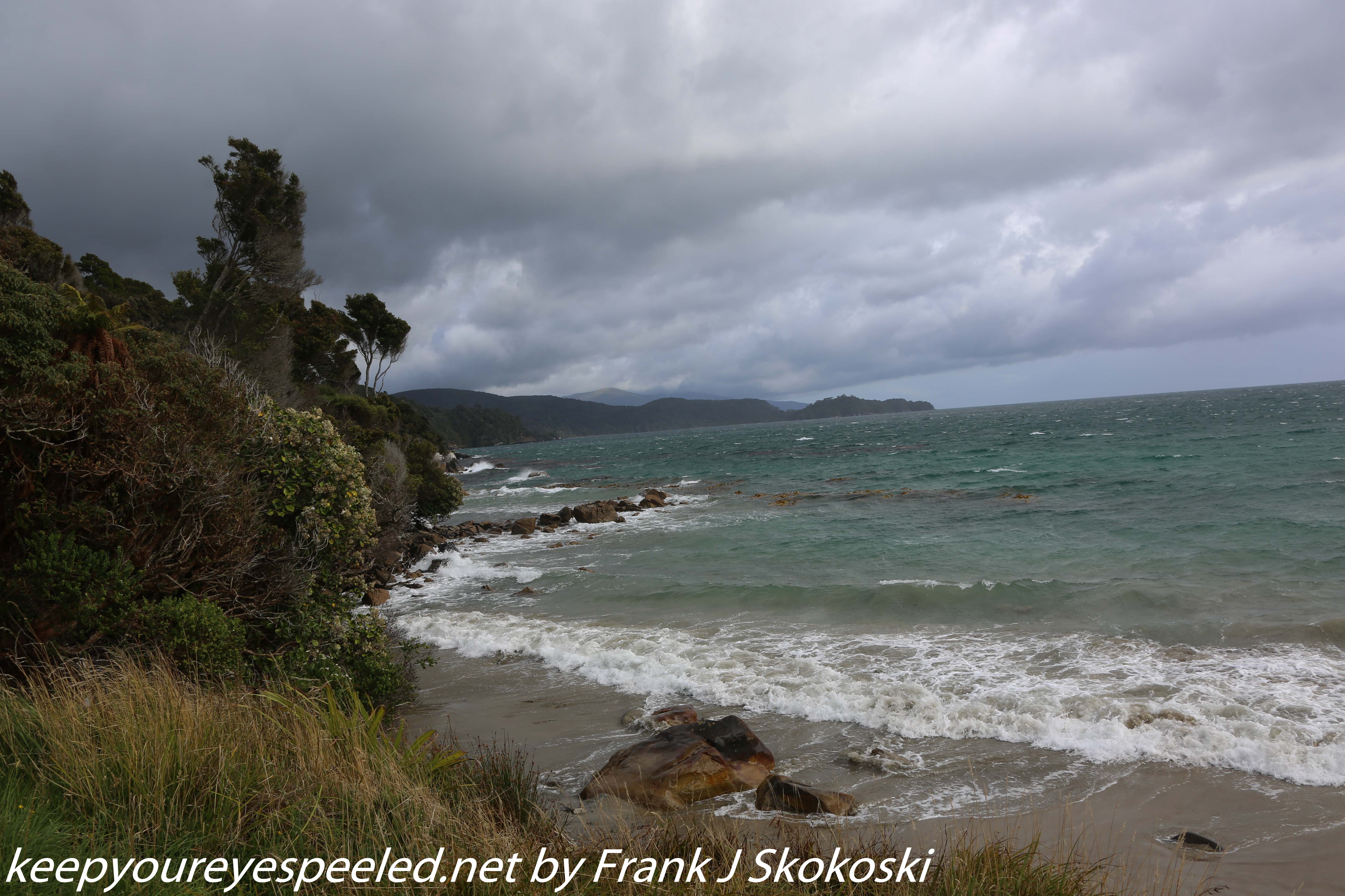 New-Zealand-Day-Ten-Stewart-Island-Rakiura-41-of-48