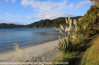 New Zealand Day Ten Stewart Island Port Willi am Rakiura hike February  15 2019