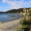 New-Zealand-Day-Ten-Stewart-Island-Rakiura-1-of-48