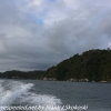 New-Zealand-Day-Ten-Stewart-Island-Rakiura-water-taxi-12-of-23