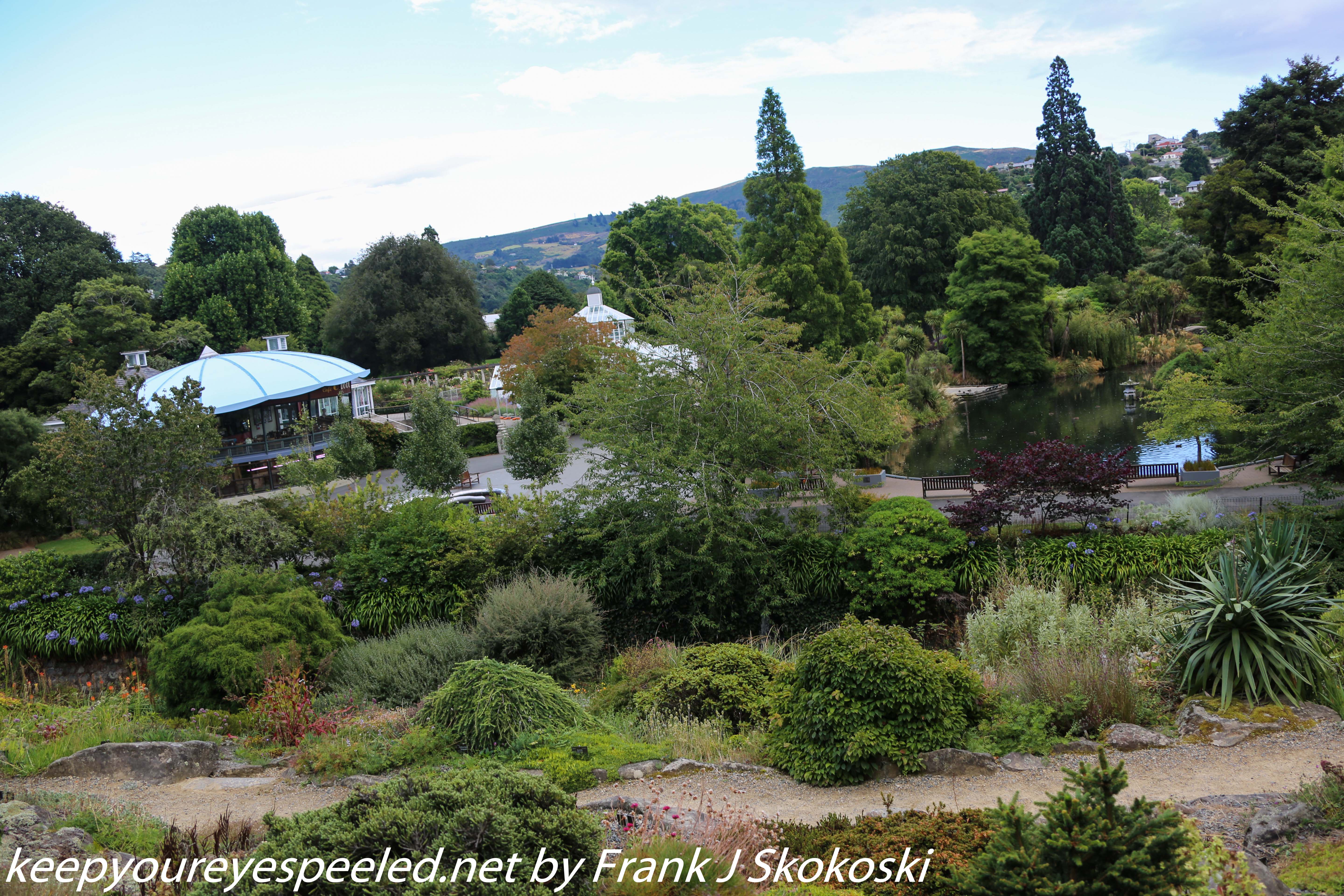 New-Zealand-Day-Thirteen-Dunedin-botanical-gardens-26-of-42