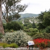 New-Zealand-Day-Thirteen-Dunedin-botanical-gardens-20-of-42
