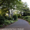 New-Zealand-Day-Thirteen-Dunedin-botanical-gardens-38-of-42