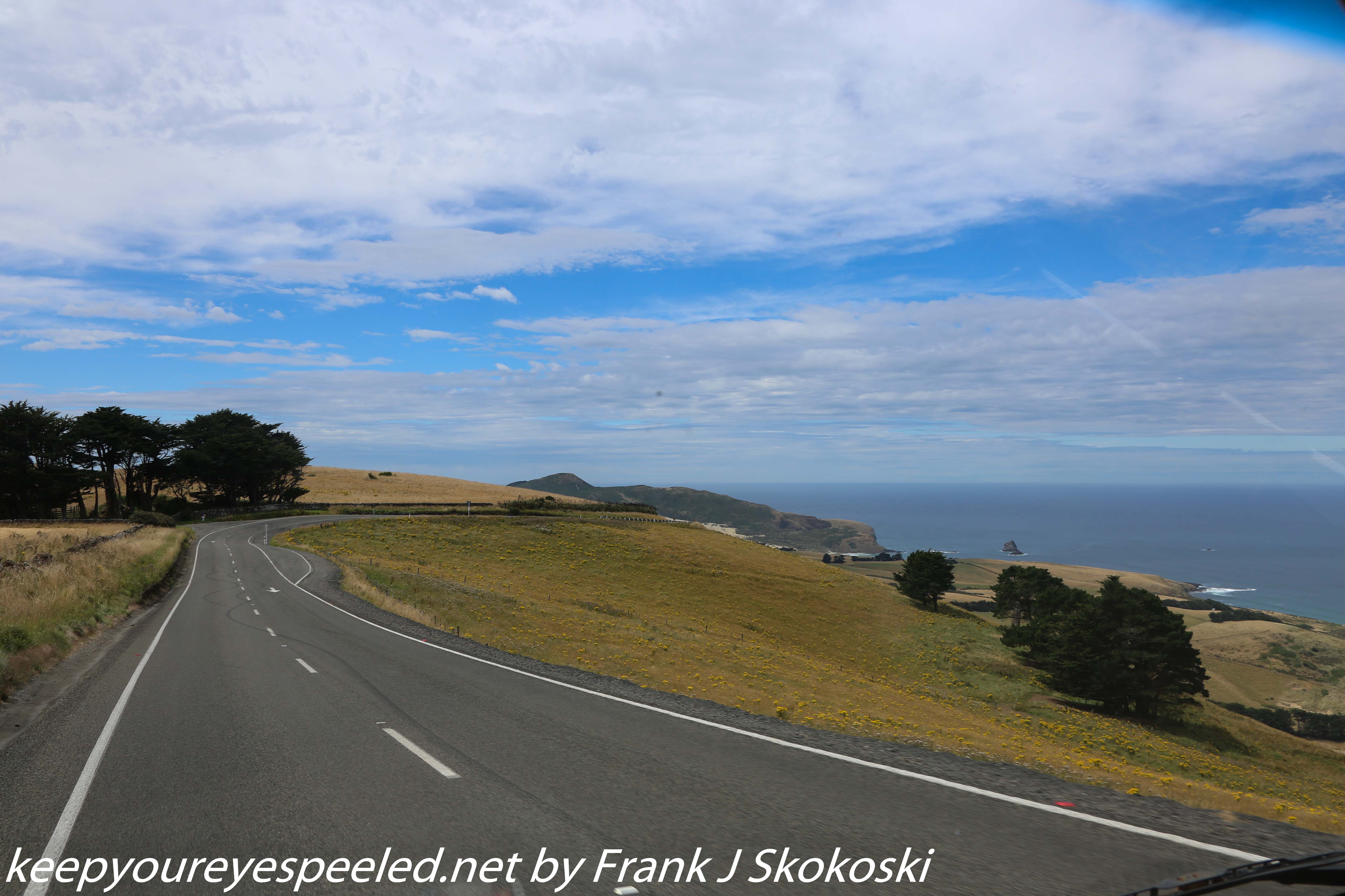 New-Zealand-Day-Thirteen-Dunedin-drive-to-Peninsula-13-of-34