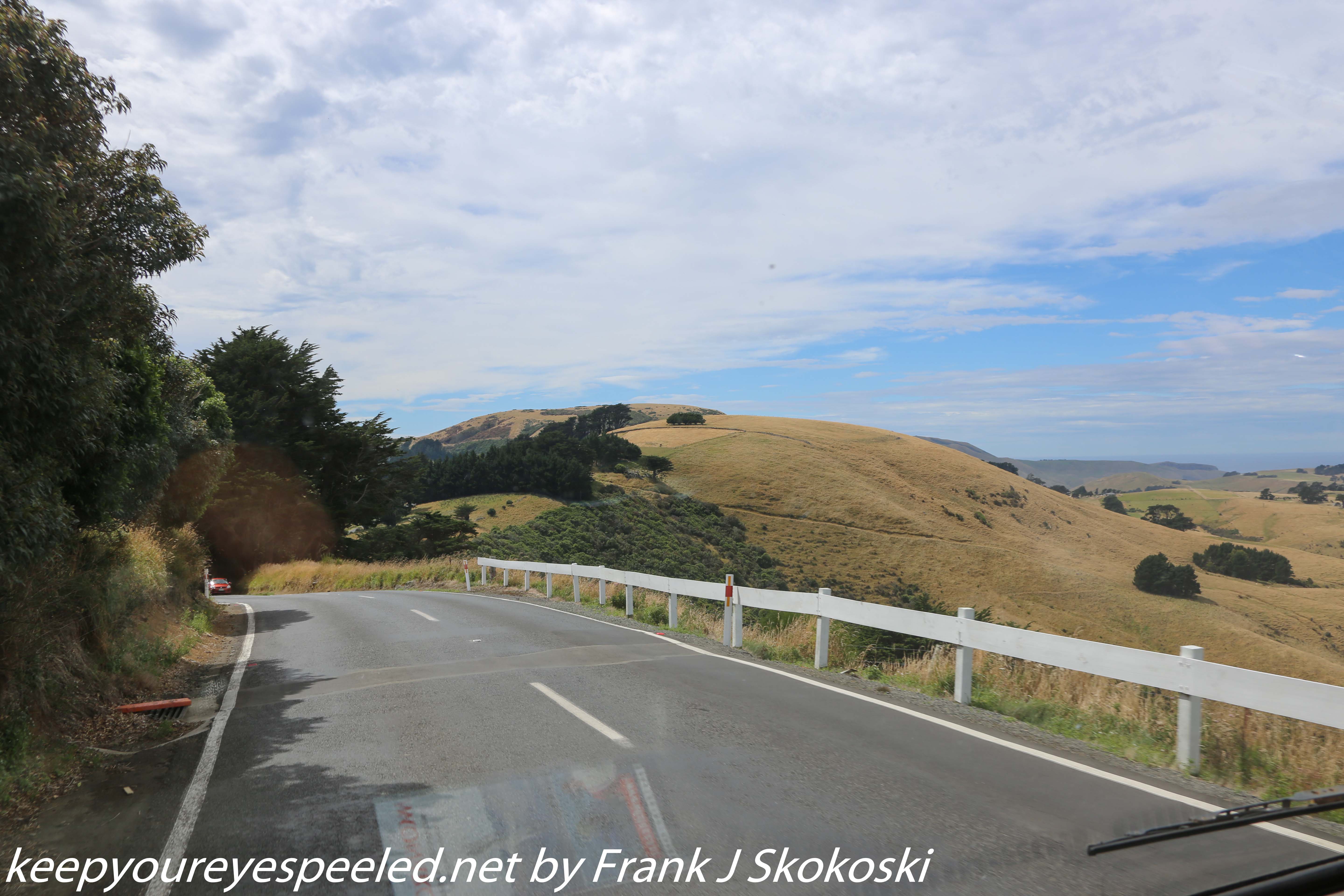 New-Zealand-Day-Thirteen-Dunedin-drive-to-Peninsula-14-of-34