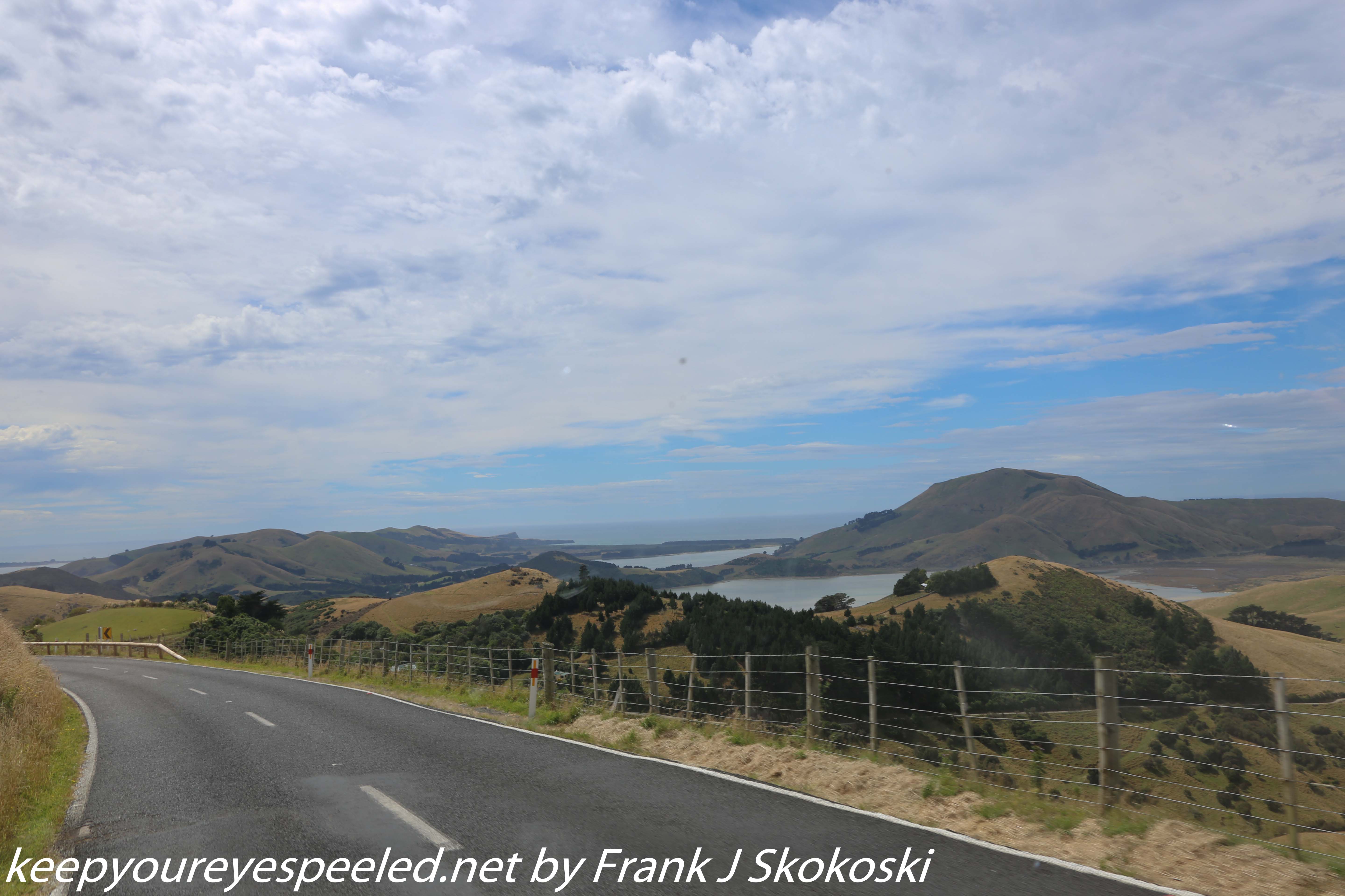 New-Zealand-Day-Thirteen-Dunedin-drive-to-Peninsula-16-of-34