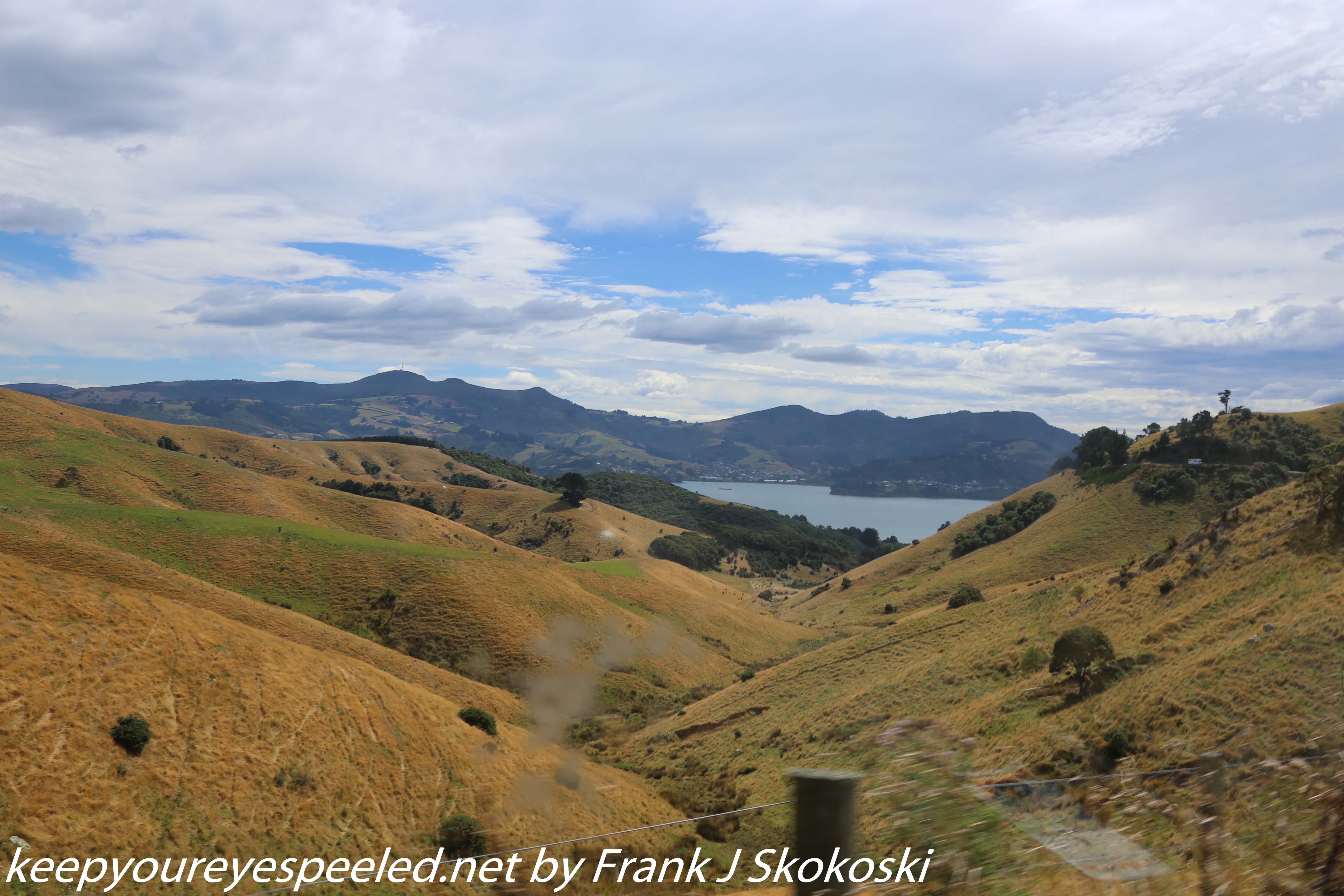 New-Zealand-Day-Thirteen-Dunedin-drive-to-Peninsula-18-of-34