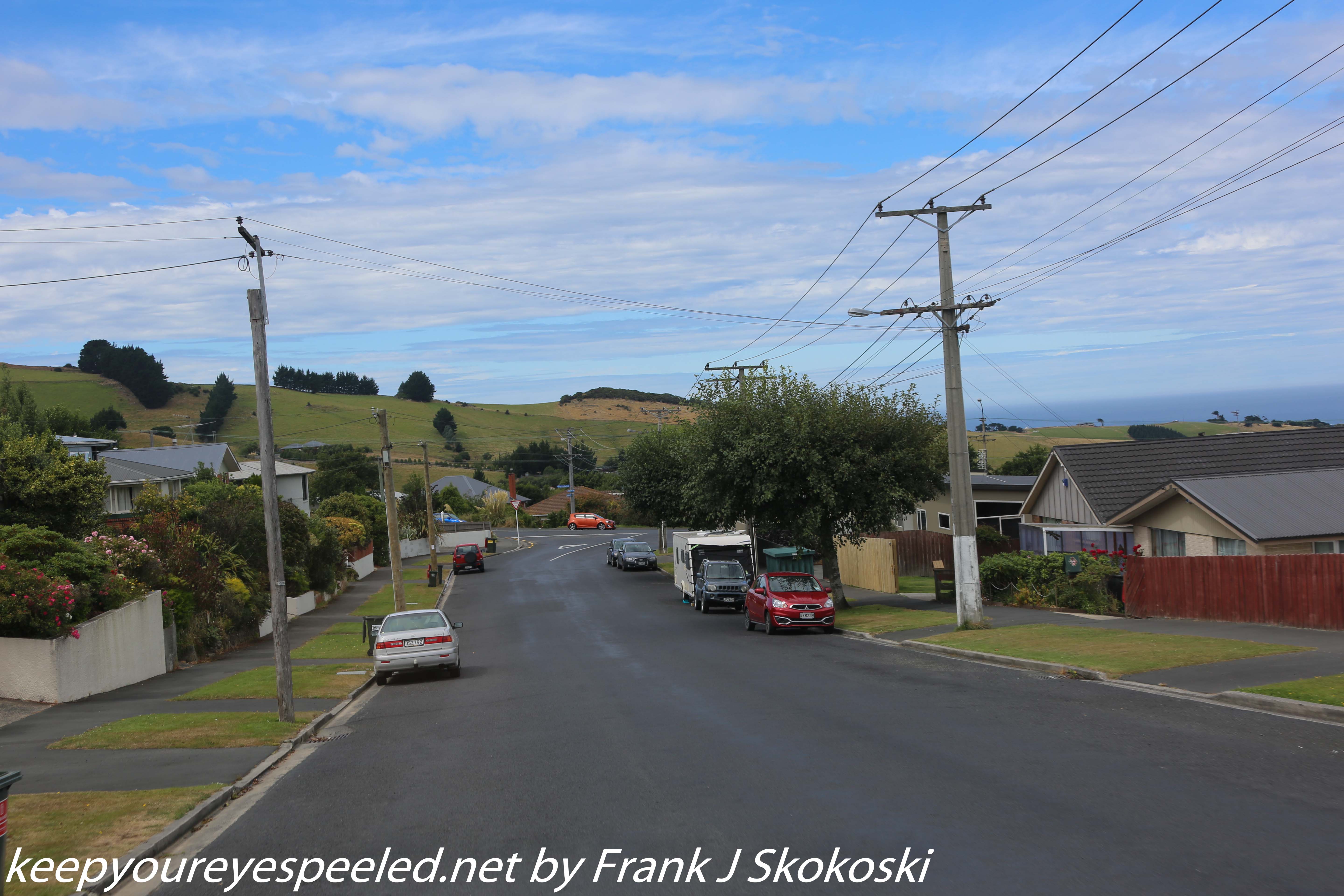 New-Zealand-Day-Thirteen-Dunedin-drive-to-Peninsula-6-of-34