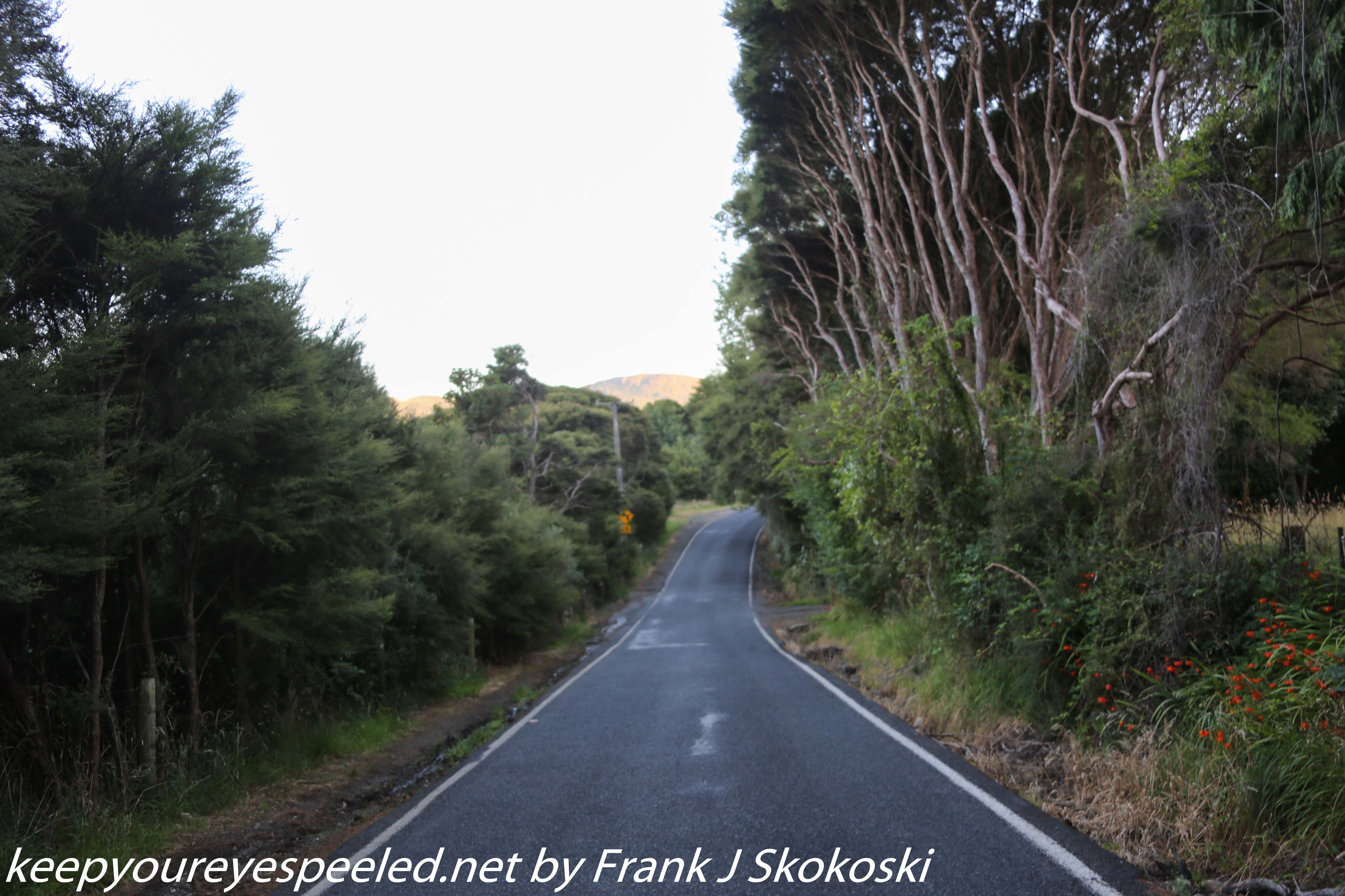 New-Zealand-Day-Thirteen-Dunedin-Signal-hill-walk-15-of-46