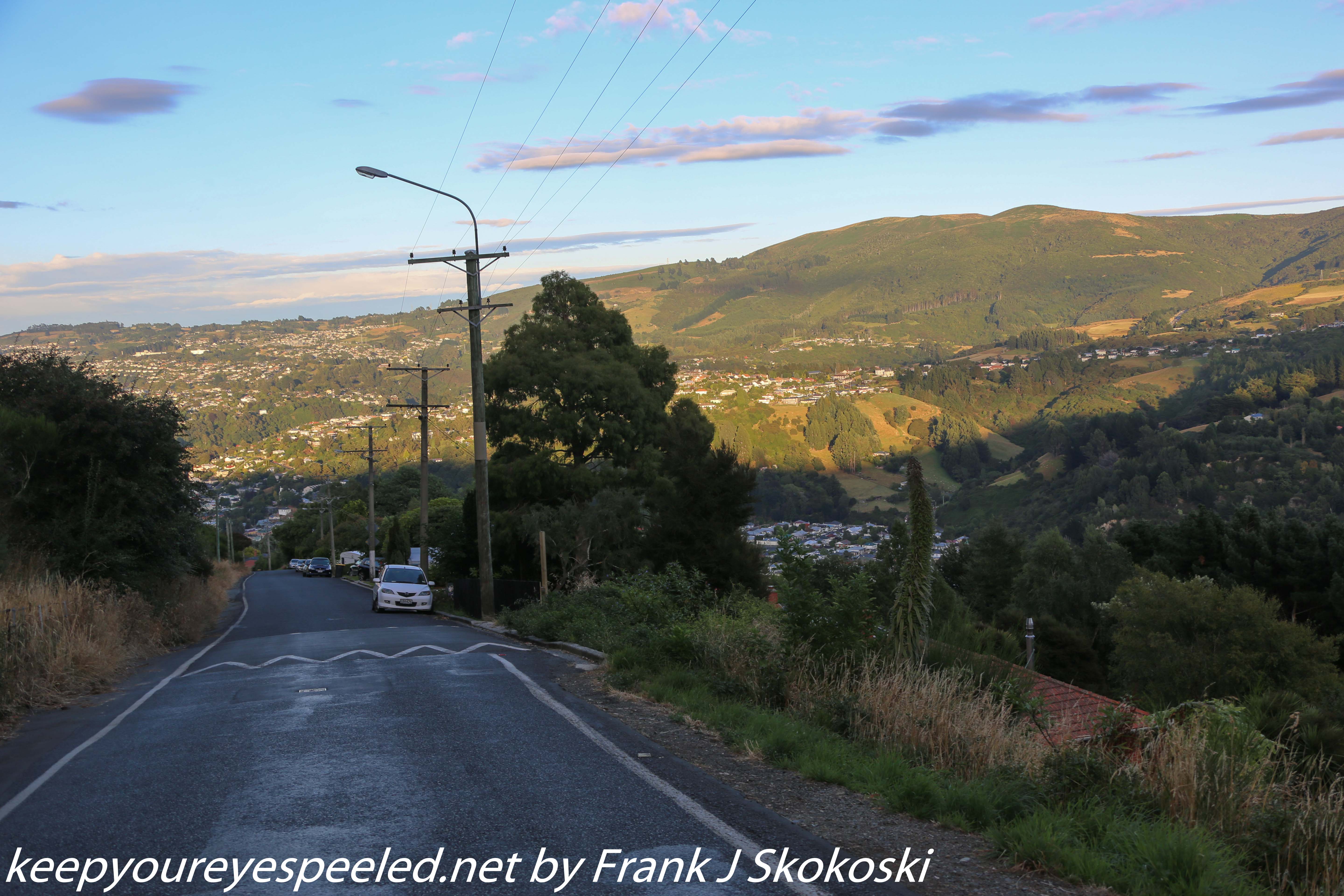 New-Zealand-Day-Thirteen-Dunedin-Signal-hill-walk-24-of-46