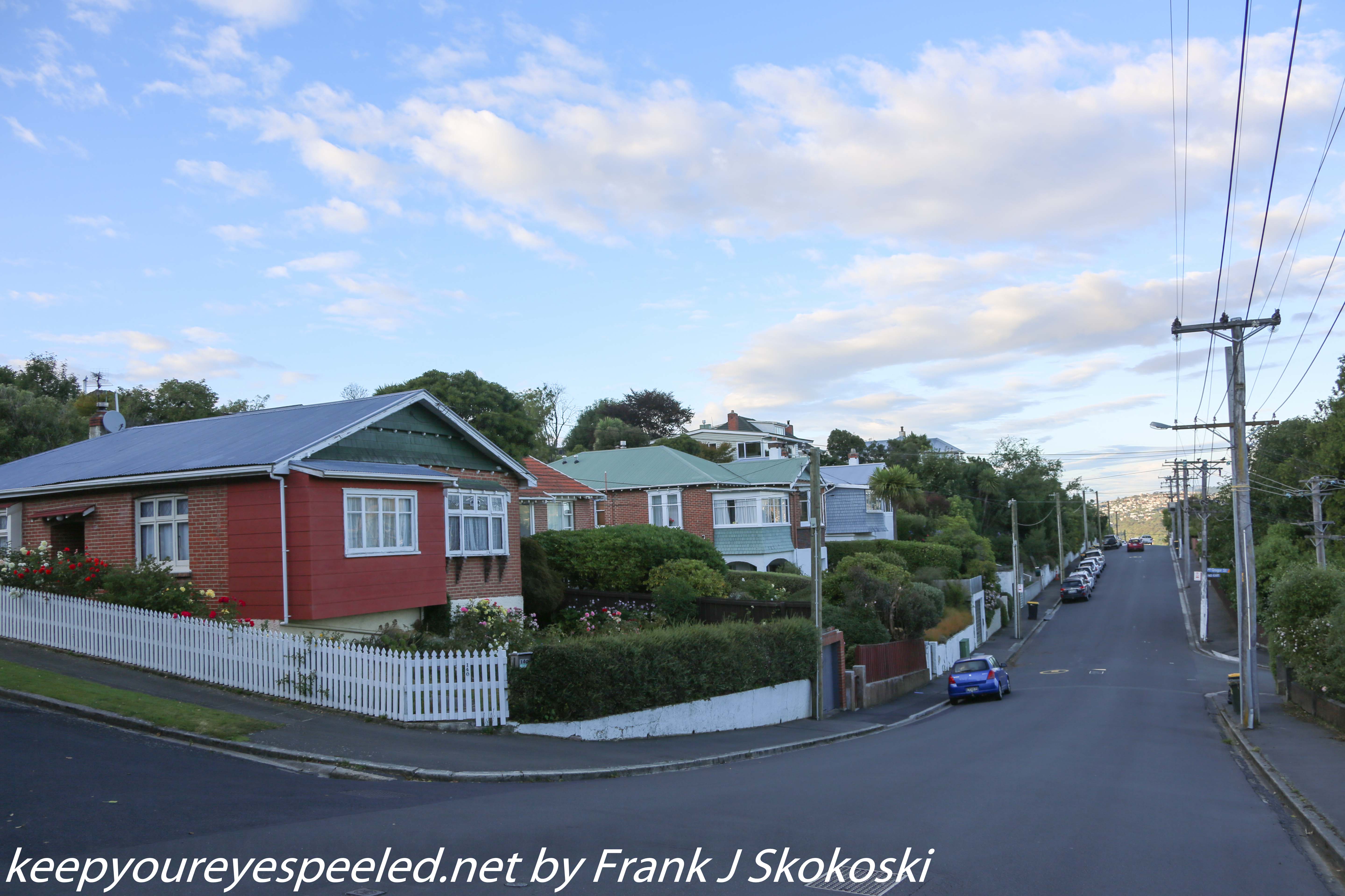 New-Zealand-Day-Thirteen-Dunedin-Signal-hill-walk-26-of-46