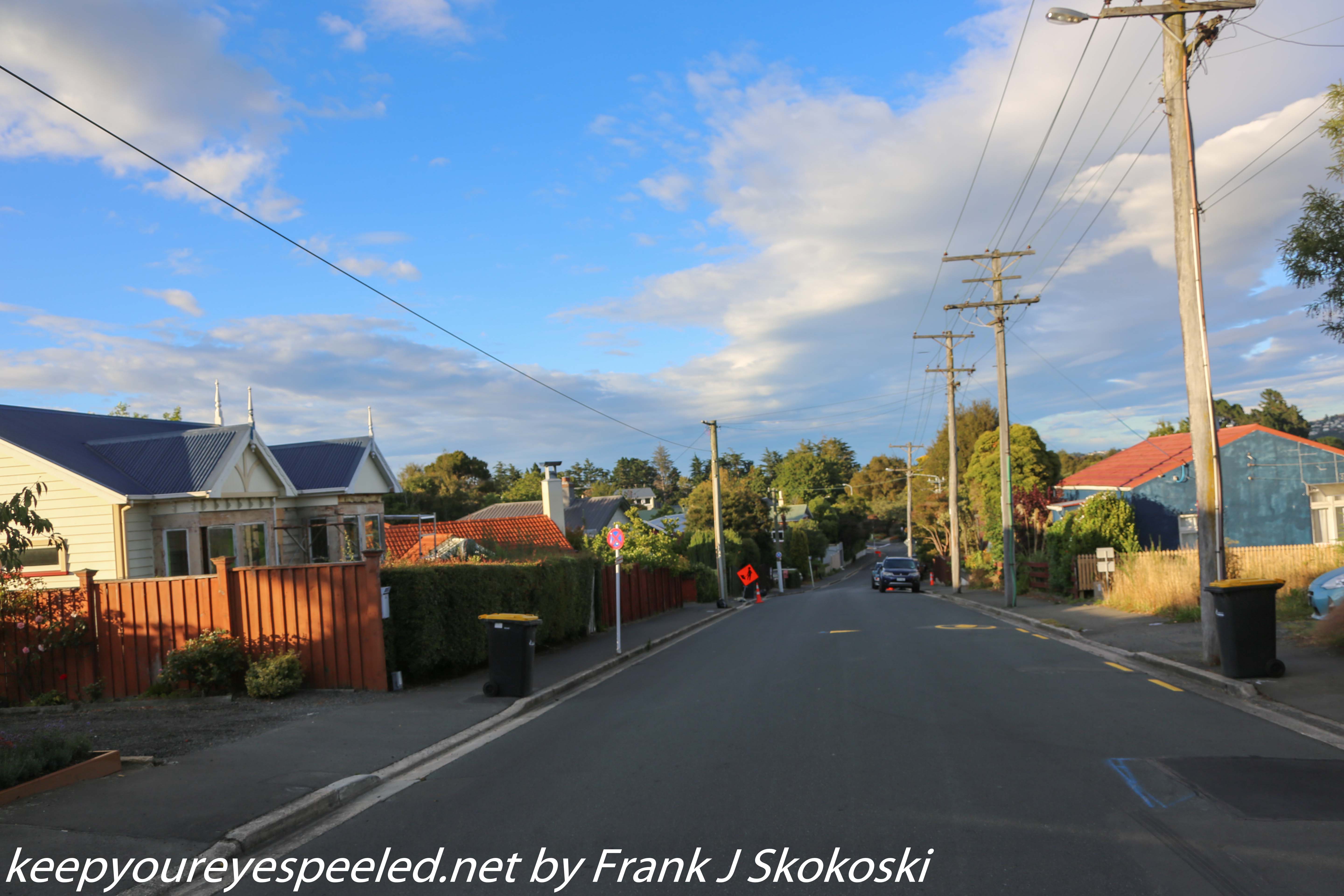 New-Zealand-Day-Thirteen-Dunedin-Signal-hill-walk-35-of-46
