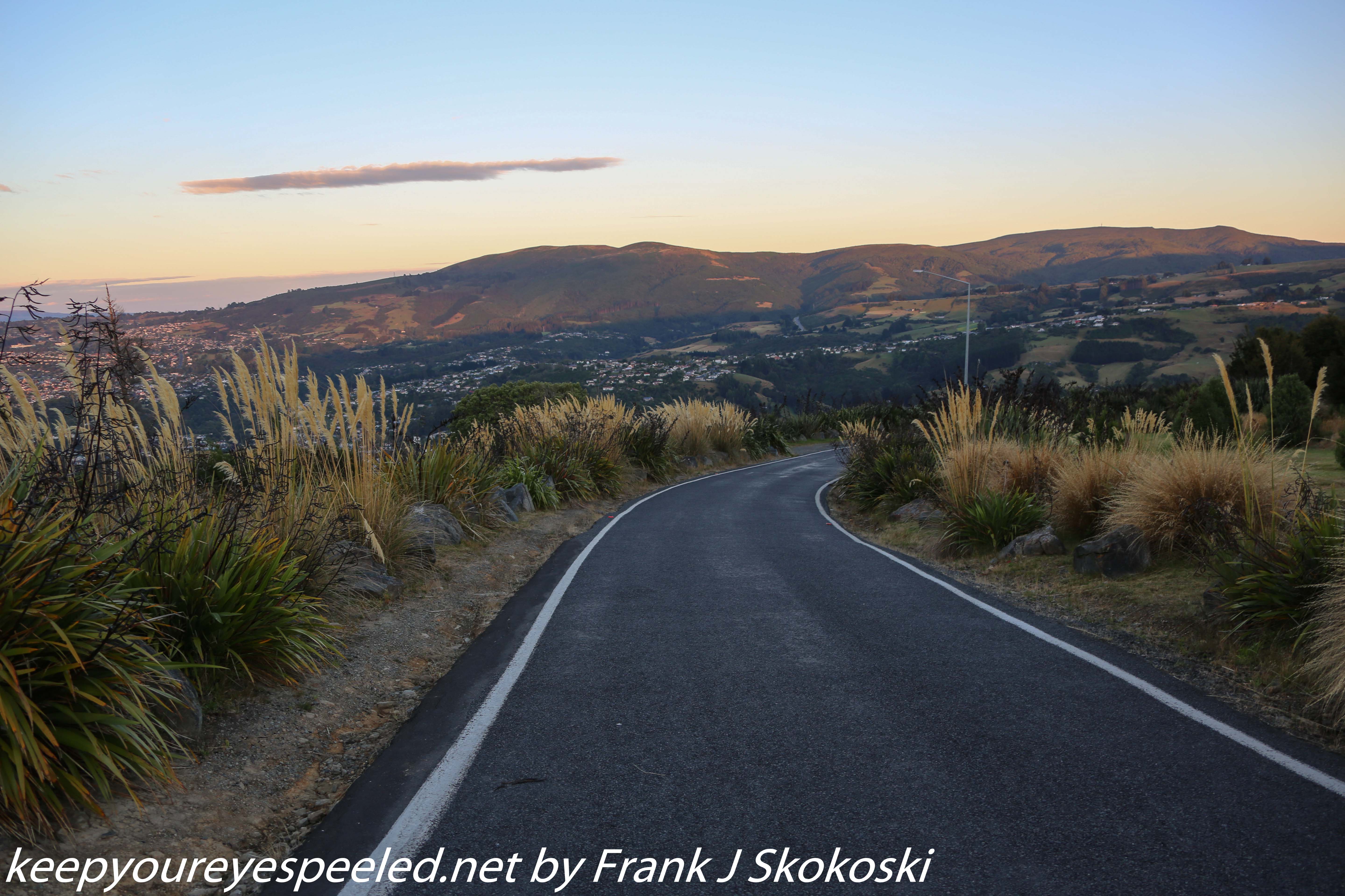 New-Zealand-Day-Thirteen-Dunedin-Signal-hill-walk-7-of-46