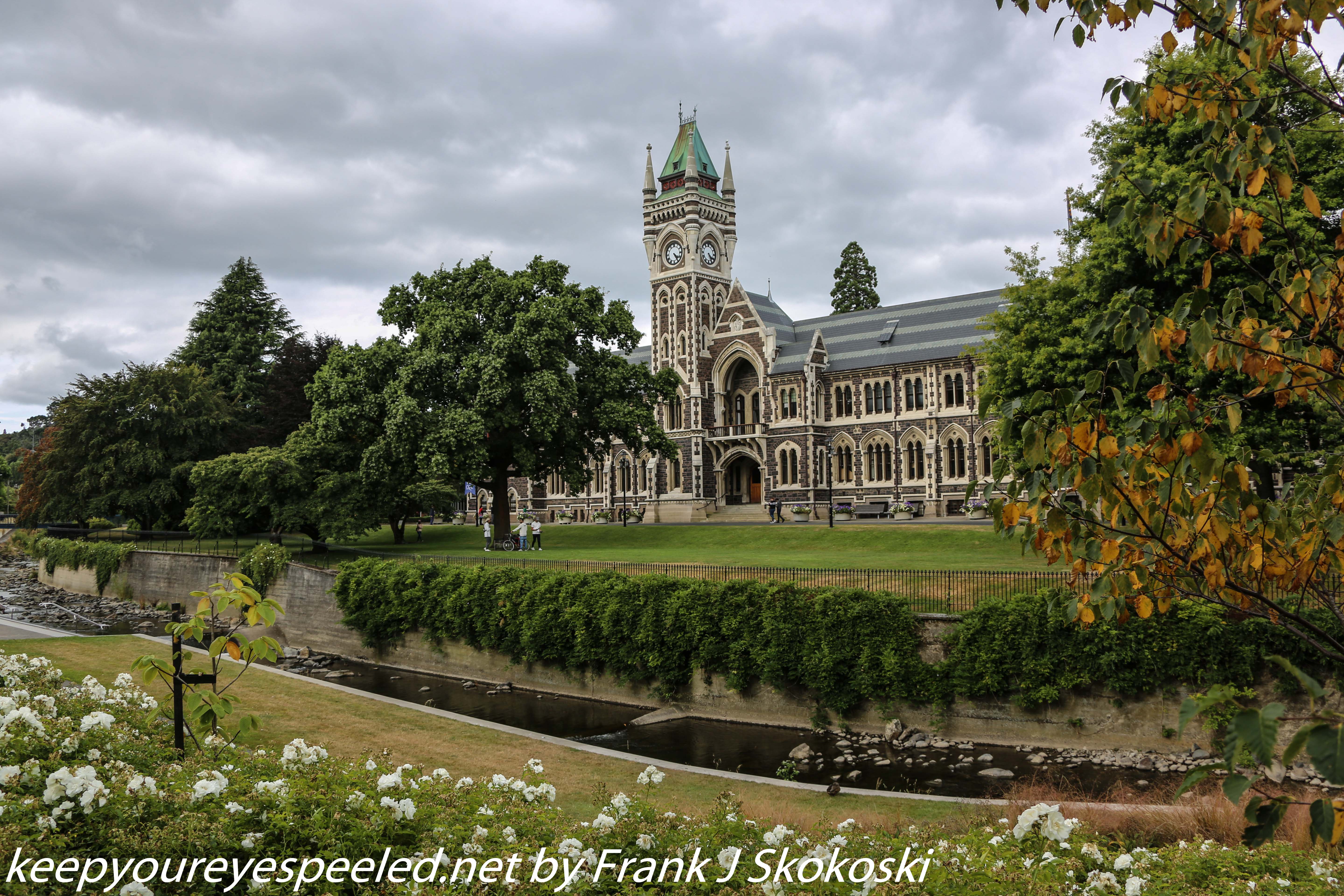 New-Zealand-Day-Twelve-Dunedin-Otaga-University-17-of-20