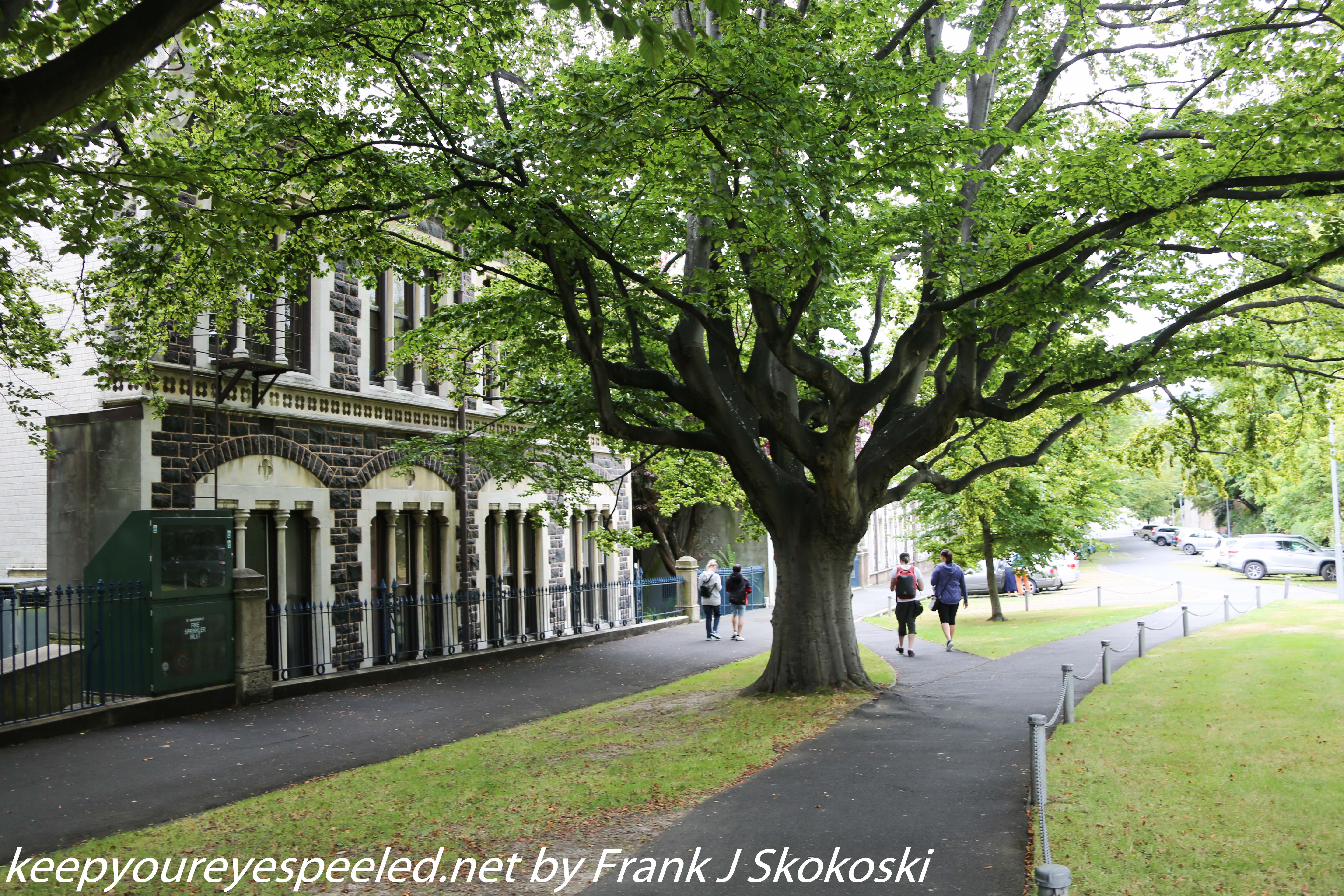 New-Zealand-Day-Twelve-Dunedin-Otaga-University-4-of-20