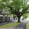 New-Zealand-Day-Twelve-Dunedin-Otaga-University-4-of-20