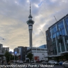 New-zealand-Day-Twenty-Auckland-morning-walk-33-of-38