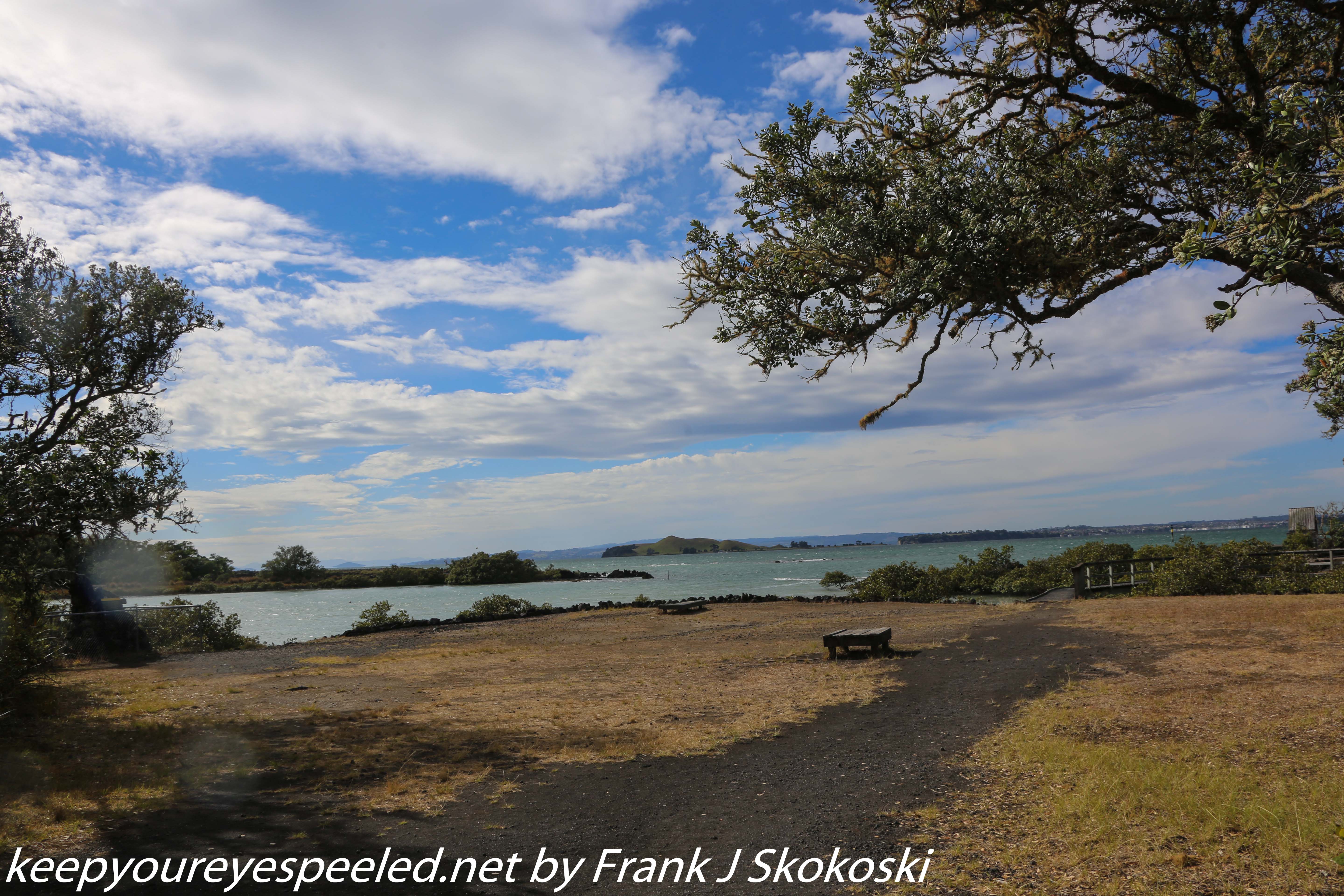 New-zealand-Day-Twenty-Auckland-Rangitoto-deive-and-hike-to-summit-8-of-20