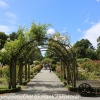New-Zealand-Christchurch-botnical-gardens-10-of-20